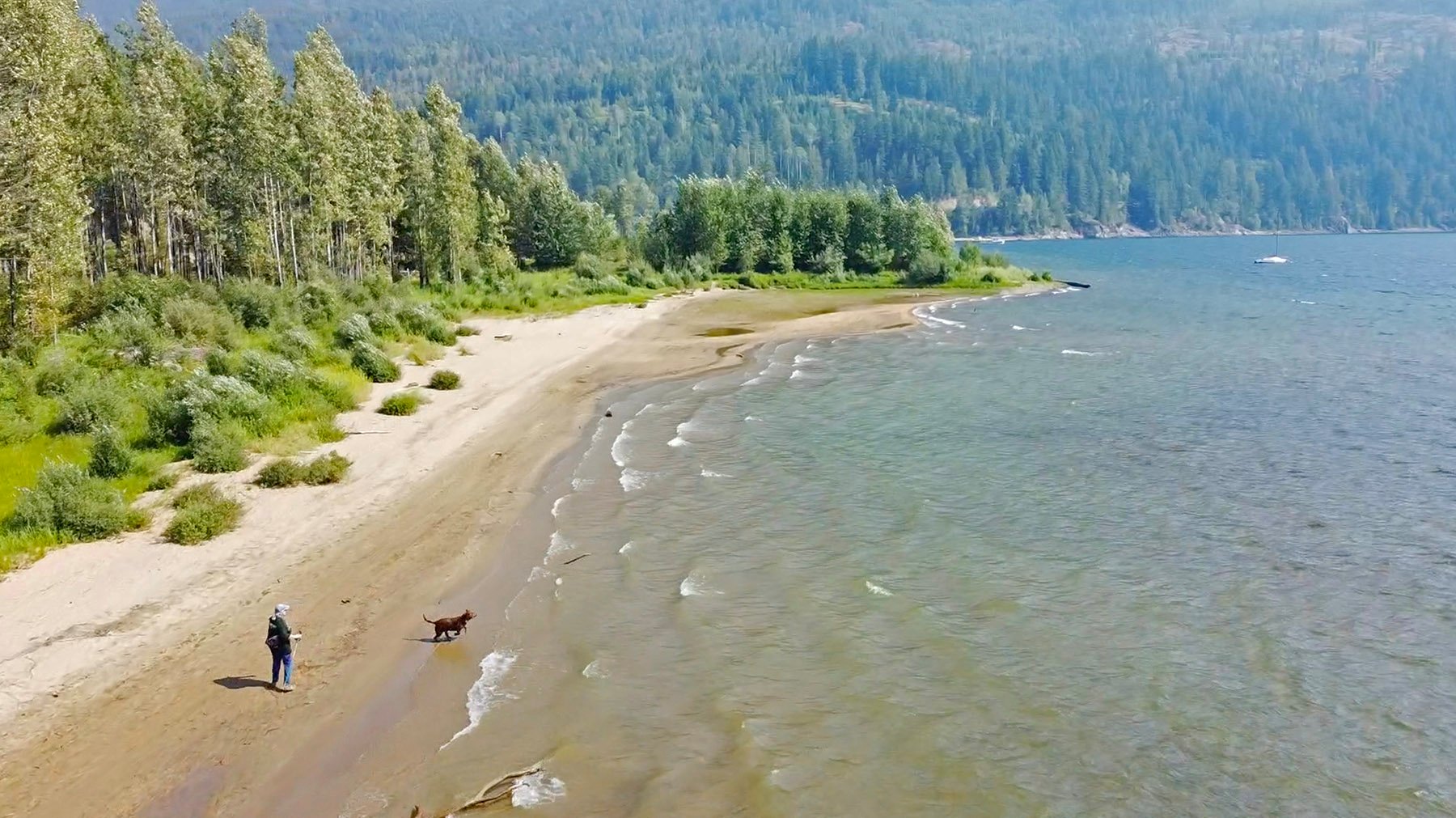 beach-Crawford-Bay-dog-fetch