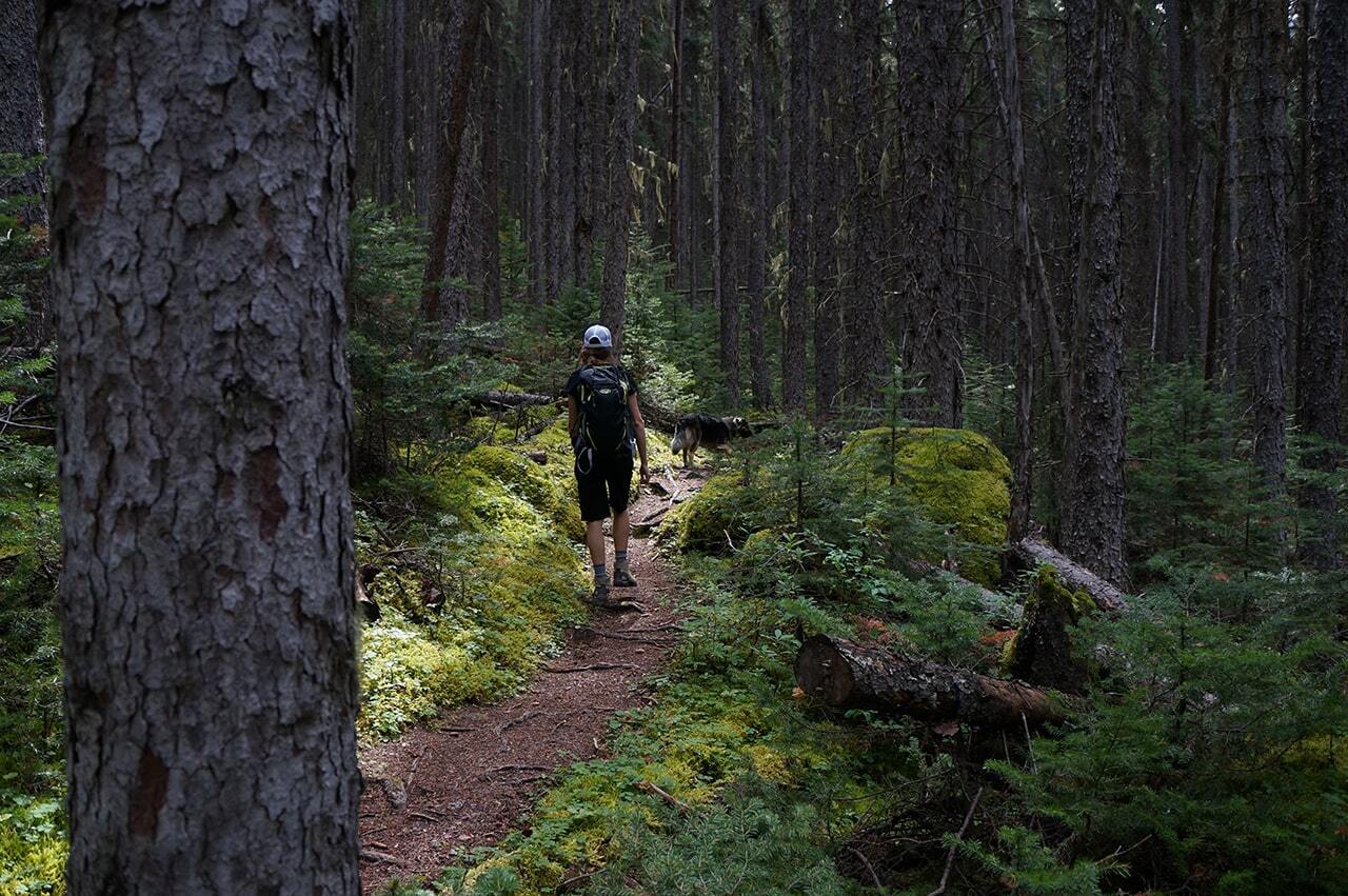 dog-friendly-hiking-golden-bc-min