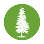 icon_tree