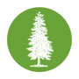 icon_tree icon_tree
