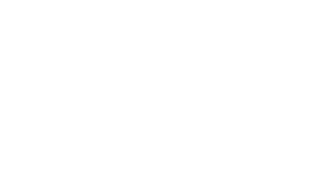 logo-Pinnacle-Lifestyles-full-reverse